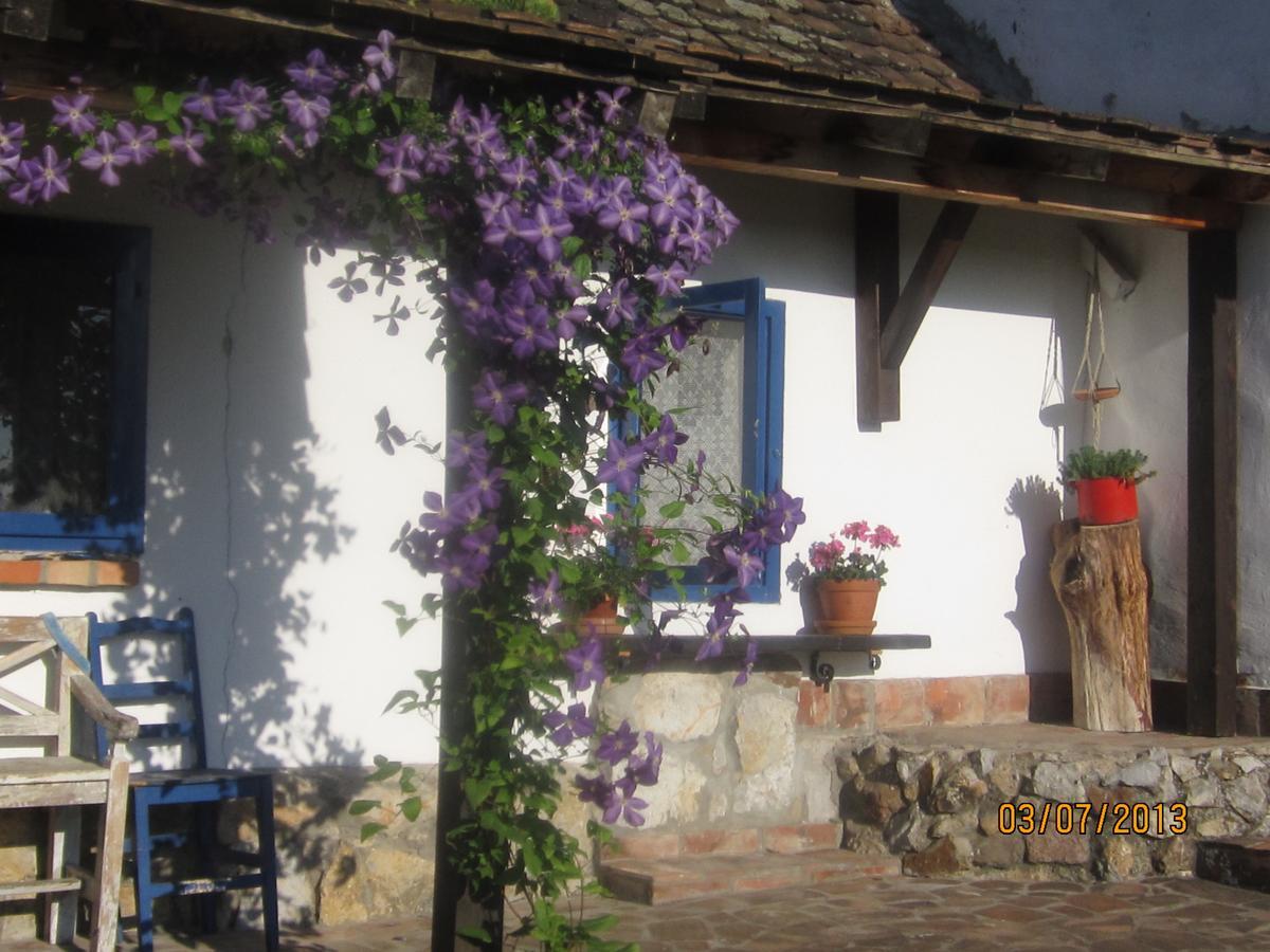Guest House Vila Albedo Varna Exterior foto